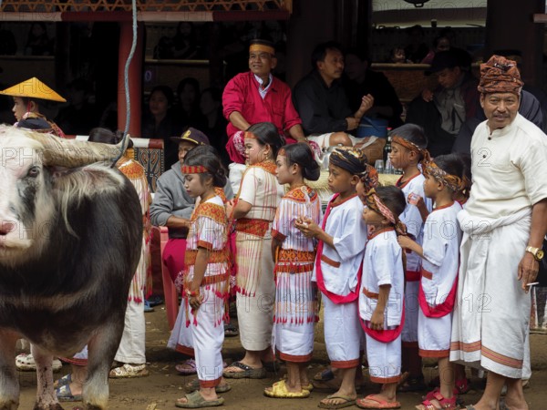 Children in traditional festive dress, funeral ceremony, Tana Toraja, Sulawesi, Indonesia, Asia