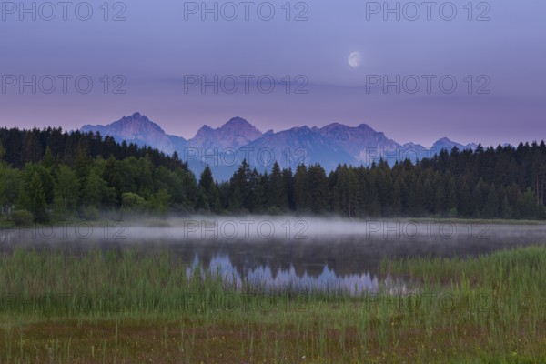Idyllic lake at dusk with mountains and forests in the background, Hegratsrieder See, Ostallgäu,
