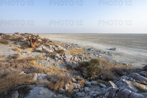 African baobab or baobab tree (Adansonia digitata), between round rocks, at sunrise, with salt pan,