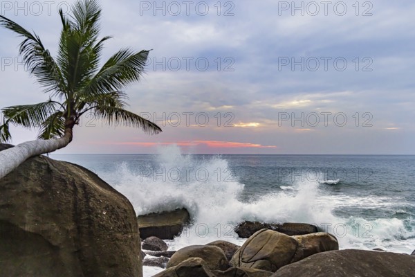Wild beach, surf on the coast facing the Indian Ocean. Palm trees and high waves at sunset. Patong,