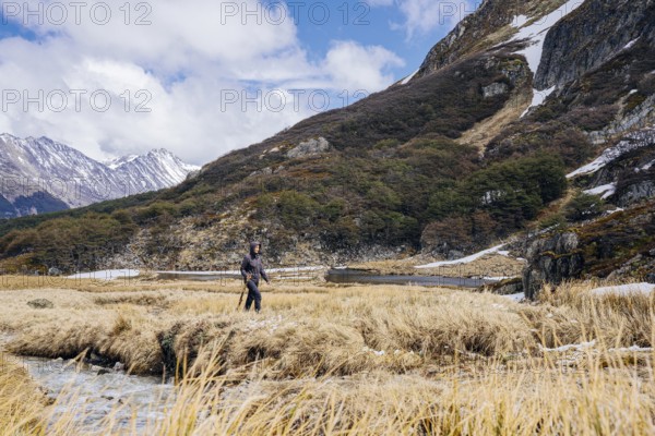 Woman hikes through grassland, Glaciar Vinciguerra, Ushuaia, Tierra del Fuego Province, Argentina,