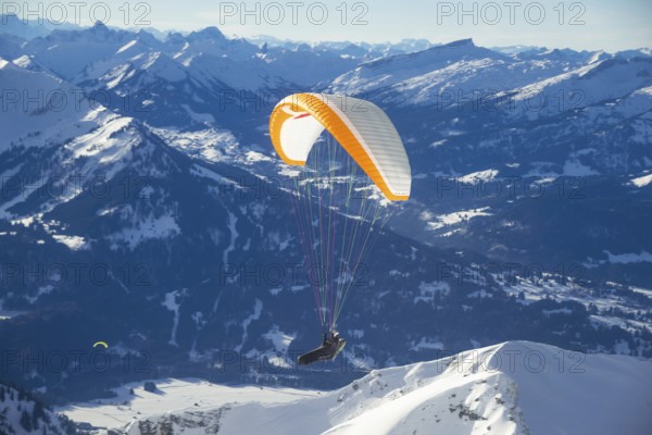 Paraglider, Nebelhorn, 2224m, near Oberstdorf, Allgaeuer Alps, Allgaeu, Bavaria, Germany, Europe