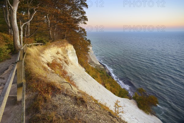 The chalk cliffs of Møns Klint, view of the Baltic Sea at dawn in autumn, Møn Island, Denmark,