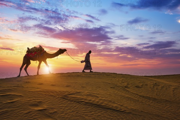 Indian cameleer camel driver bedouin with camel silhouettes in sand dunes of Thar desert on sunset.