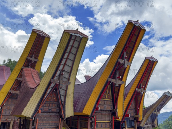 Old traditional wooden houses, villages, pile dwellings with curved colourful roofs, Tana Toraja,