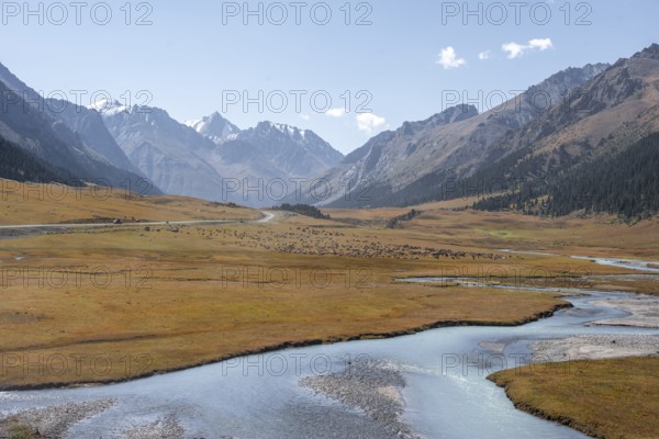 Mountain river in a picturesque mountain valley, mountain landscape with white mountain peaks, Tian