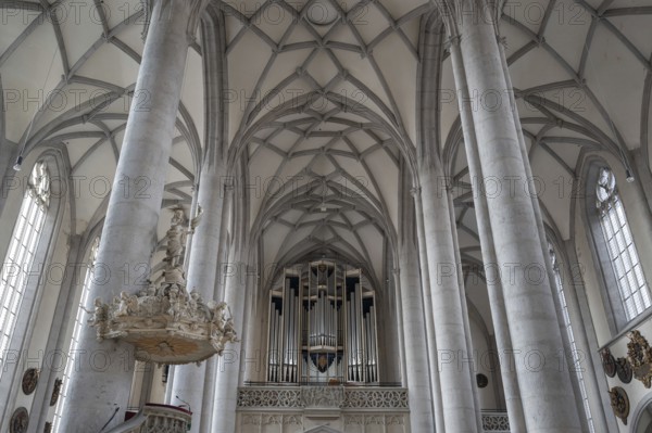 Organ loft of the late Gothic church of St George, built between 1427 and 1505, church, Nördlingen,
