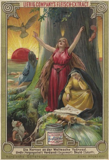 Picture series Norse Gods, the Norns at the World Tree Ygdrasil, Urdh, Verdandi and Skuld, Liebig