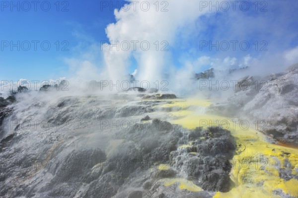 Prince of Wales and Pohutu geysers erupting, Te Puia Thermal Valley, Rotorua, Bay of Plenty, North