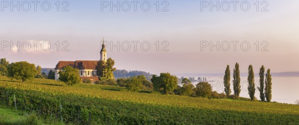 Baroque church with a view of the lake at sunset, surrounded by vineyards, Birnau pilgrimage church