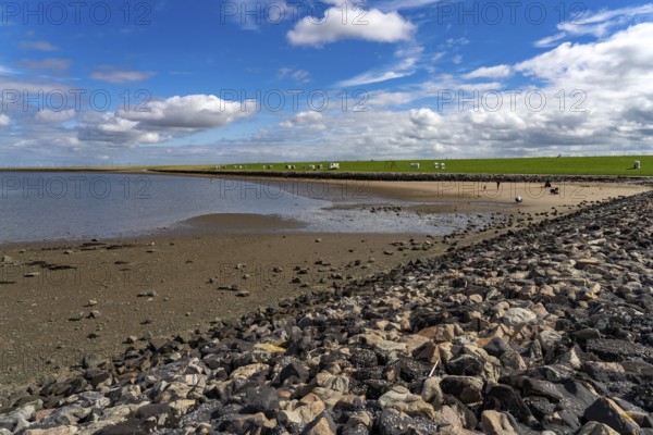 Holmer Siel beach and coast, Nordstrand peninsula, North Friesland district, Schleswig-Holstein,
