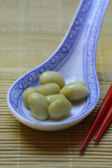Edamame, unripe soya beans in an Asian ceramic spoon, Glycine max