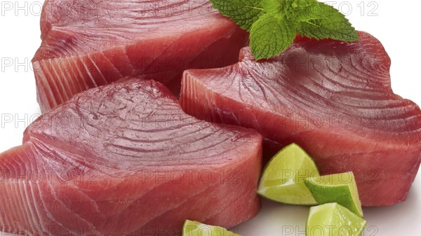 3 slices of raw tuna (thunnus), decorated with pieces of lime and mint leaves, studio shot