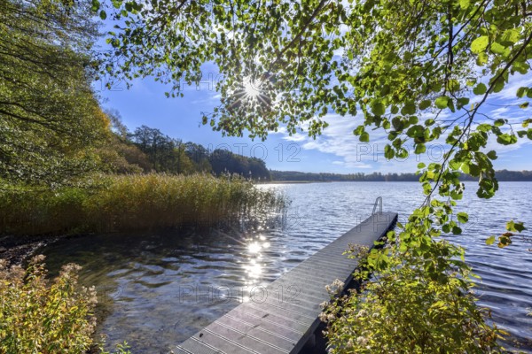 Wooden jetty at lake Schaalsee in autumn, fall, Biosphärenreservat Schaalsee, Schleswig-Holstein,