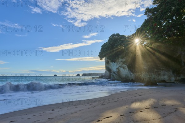 Sun breaking through trees on a rocky beach above gentle waves, Cathedral Cove, Coromandel,