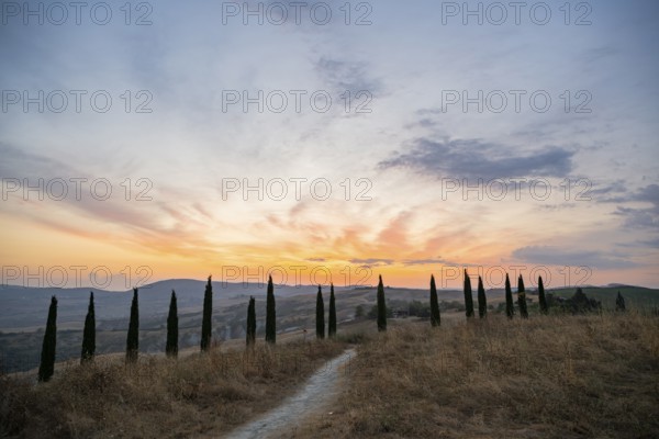 Typical Tuscan landscape in Crete Senesi with hills, trees, fields, cypresses and farm road in