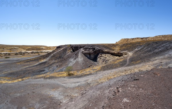 Dry landscape with yellow grass and black volcanic hills, Burnt Mountain, Damaraland, Kunene,