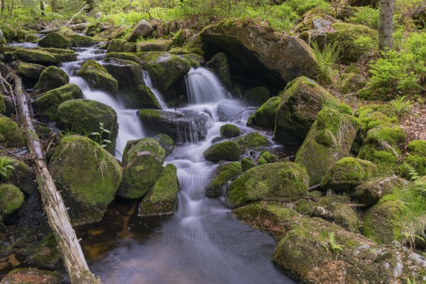 Kleine Ohe creek below Waldhaeuser village in the Bavarian Forest Nationalpark. Flowing water,