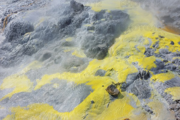 Volcanic terrain, Te Puia Thermal Valley, Rotorua, Bay of Plenty, North Island, New Zealand,