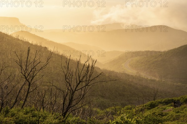 View from a path below the summit of Garajonay to other mountains in the Garajonay National Park.