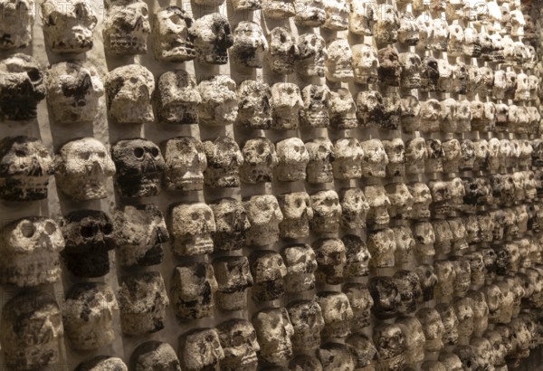 Wall of stone human skulls, archaeological site and museum of Templo Mayor, Mexico City, Mexico,
