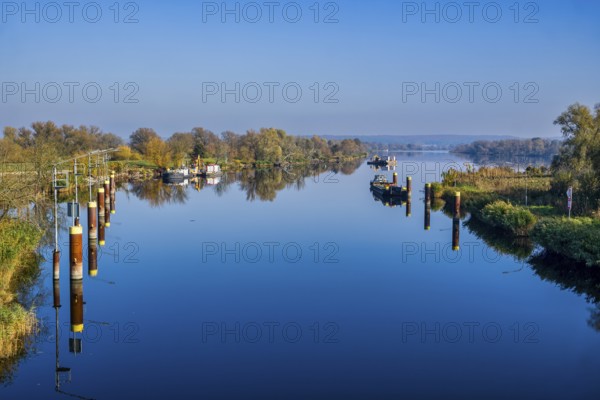 Schwedter Querfahrt, Lower Oder Valley National Park, Schwedt, Brandenburg, Germany, Europe