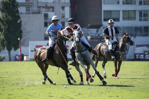 Scene from the 131st Argentine Open Polo Championship (Spanish: Campeonato Argentino Abierto de