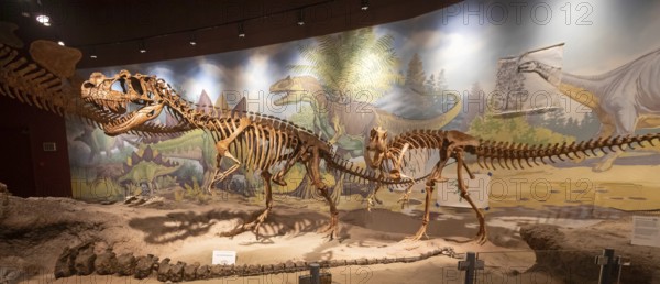 Vernal, Utah, The Utah Field House of Natural History State Park Museum displays dinosaur models,