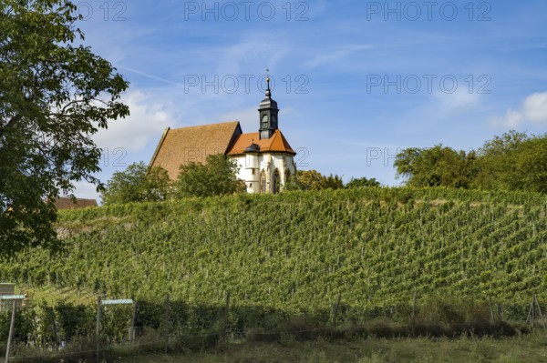 The pilgrimage church Maria im Weingarten in the vineyards near Volkach, Lower Franconia, Bavaria,