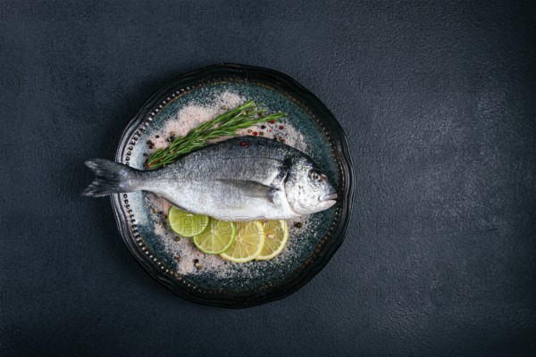 Fresh, raw dorado fish, on a dark blue background, top view, two pieces, no people