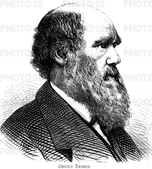 Portrait of the British naturalist Charles Darwin (1809, 1882) Theory of evolution on the origin of