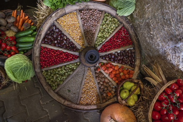 Fruit decorated in an old wooden spoked wheel at a harvest festival, Franconia, Bavaria, Germany,
