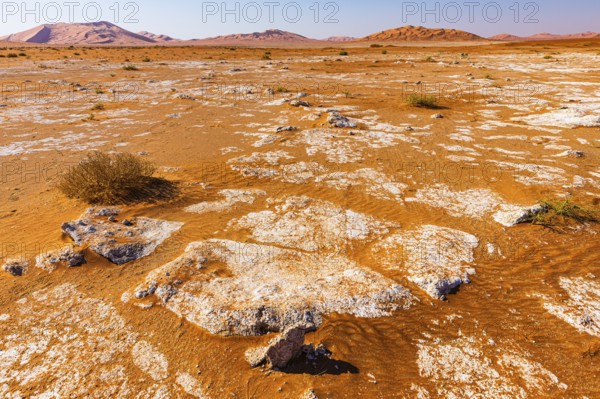 Flat plain interspersed with rocks, between sand dunes, in Rub al Khali desert, Dhofar province,