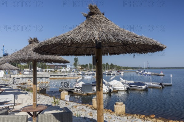 Straw parasols with a view of the harbour of Lake Geierswalde, Geierswalde in the Lusatian