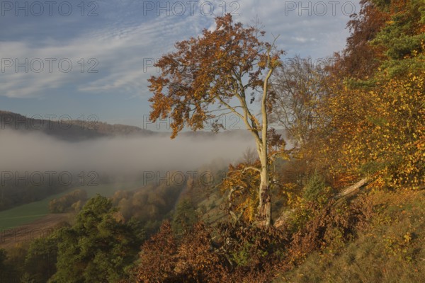 Sunrise close to the 12 Apostels rock formation in the Altmühl valley nature park close to
