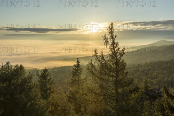 Bohemian view at the Töpfer in the morning light, sunrise over the sea of fog, Zittau Mountains,