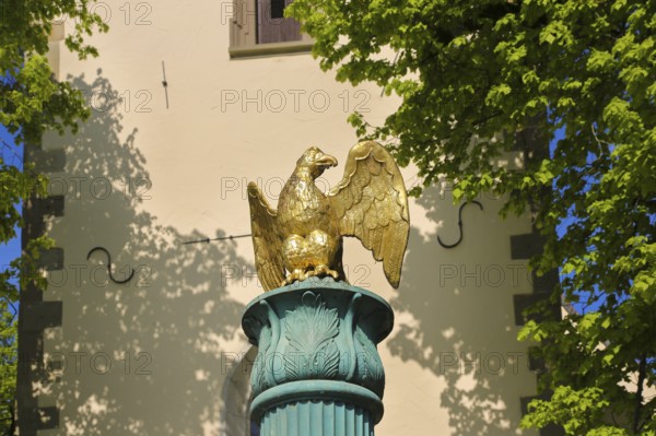 Fountain in front of the Protestant town church, green fountain with golden bird, detail, bird