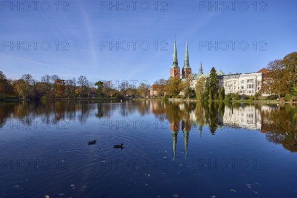Mill pond with general buildings, Lübeck Cathedral, ducks and trees, symmetrical reflections on the