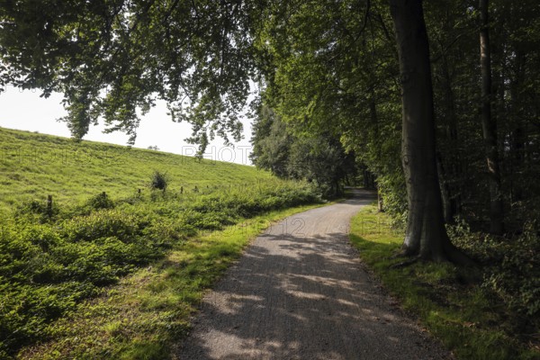 Bottrop, North Rhine-Westphalia, Germany - Emscher-Weg, cycle and footpath along the Emscher. The