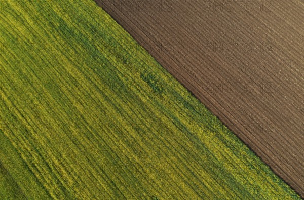 Drone view, green and ploughed fields, agricultural landscape, Innviertel, Upper Austria, Austria,