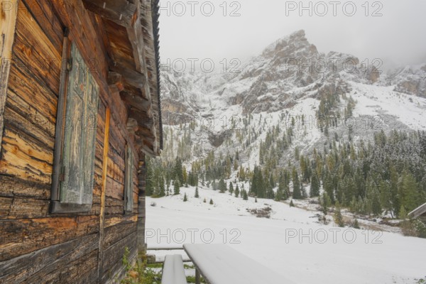 View along a hut on an alpine meadow at the foot of the Peitlerkofel, Passo delle Erbe, Würzjoch,