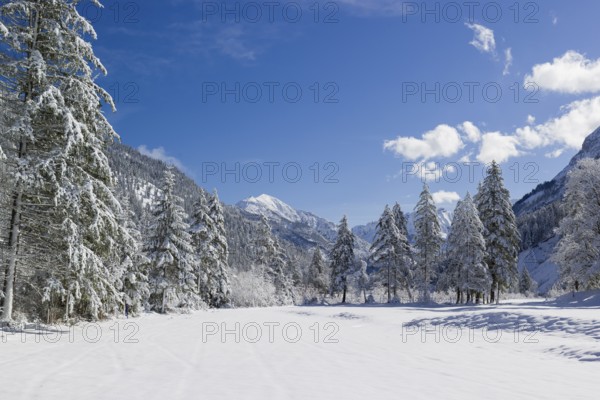 Eng valley in winter. Snow covered landscape with the Riss creek flowing through. Some hoar frosted