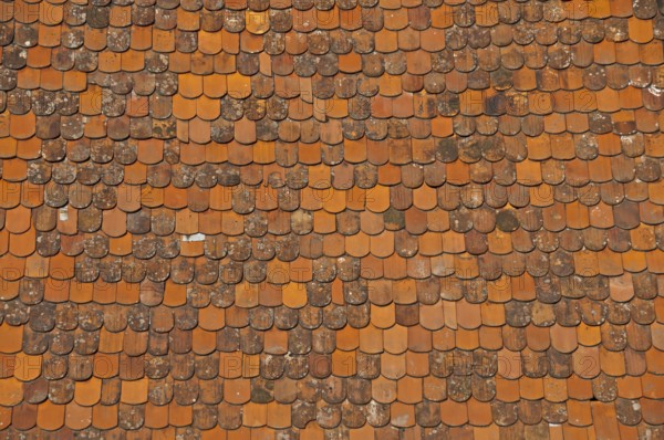 Plain tile roof panels, Germany, Europe