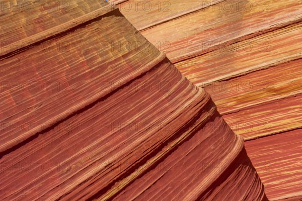 The Wave, impressive sandstone formation with wave-like patterns in various shades of red and