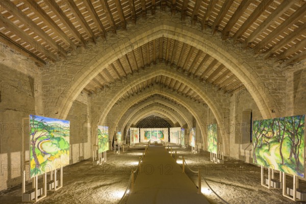 Painting exhibition at the Sainte Marie Abbey in Lagrasse, Département Aude, France, Europe