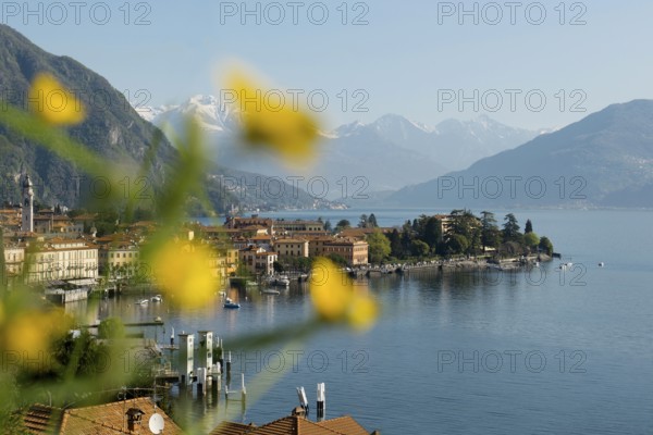 Spring, Menaggio, Province of Como, Lake Como, Lago di Como, Lombardy, Italy, Europe