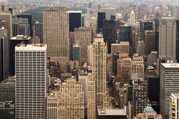 View of Uptown from the Empire State Building, New York City, USA, North America