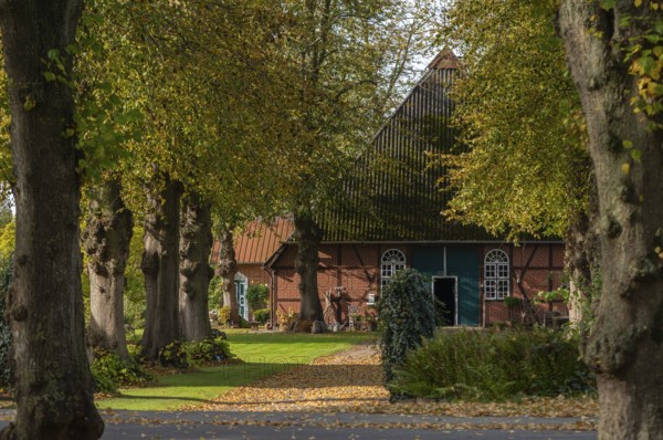 Farmhouse, half-timbered house in Barsbek, Probstei landscape, group of trees in autumn leaves,