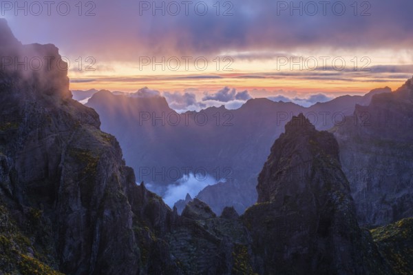 Mountains on sunset covered in fog and clouds with blooming Cytisus shrubs. Near Pico de Arieiro,