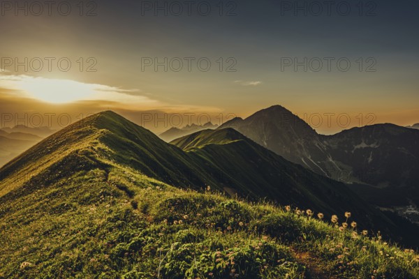 Hiking tour on the Hönig mountain in the Lechtal valley near Berwang in Tyrol, Austria, Europe